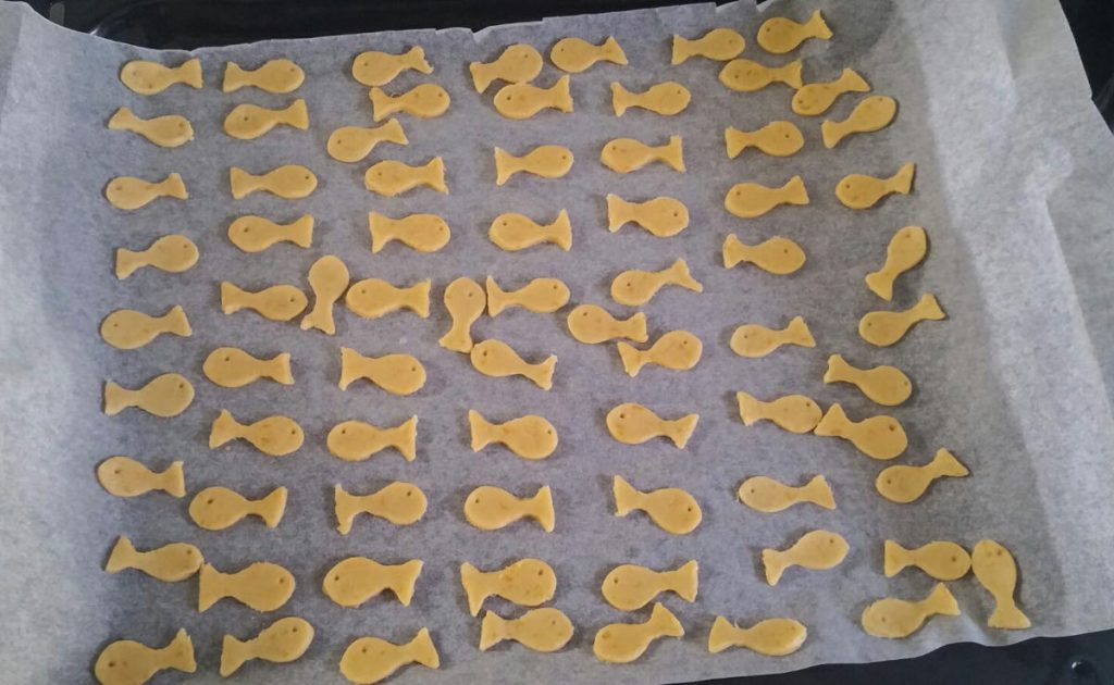 2016-02-24--IMG-20160224-WA0007